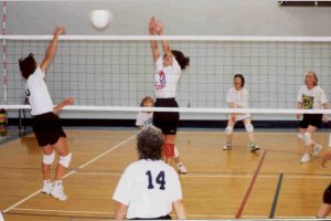 Volleyball